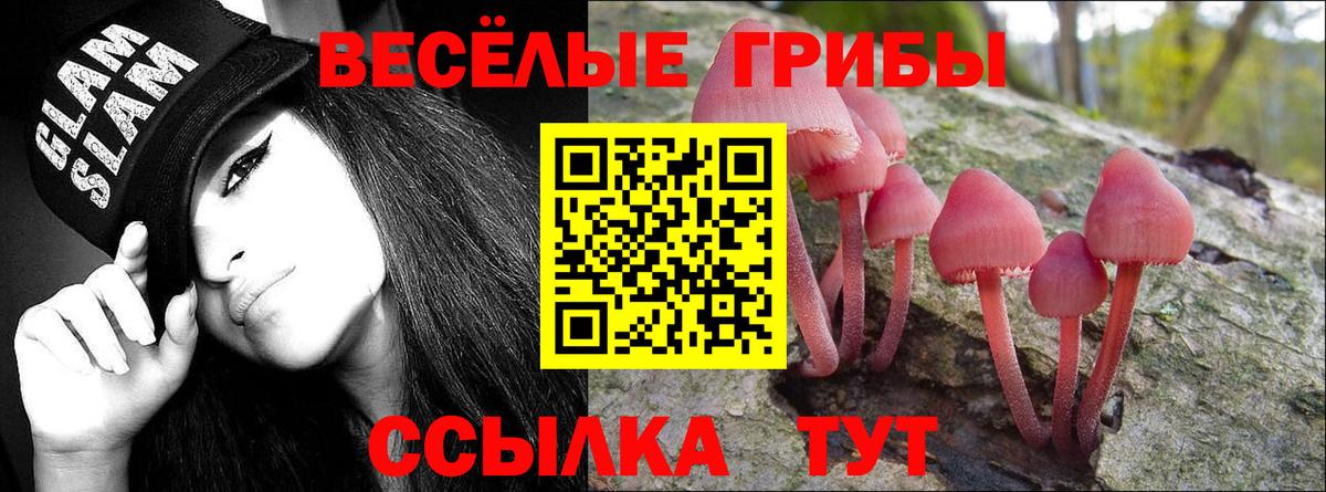 Галлюциногенные грибы мицелий Ижевск